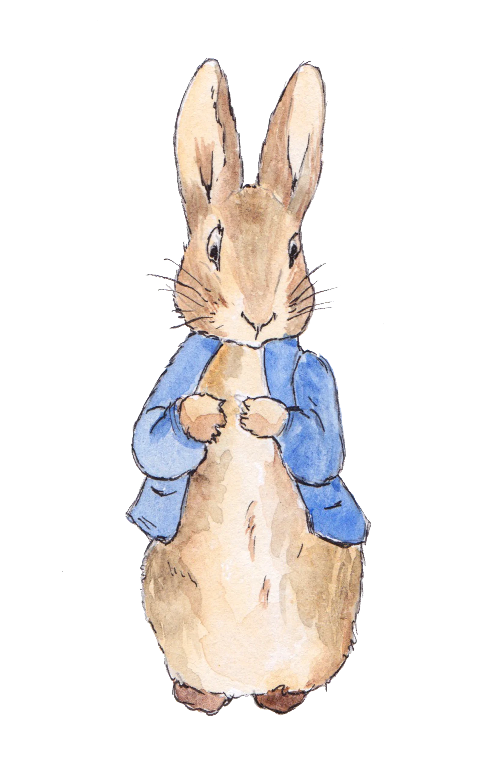 Peter Rabbit watercolour illustration